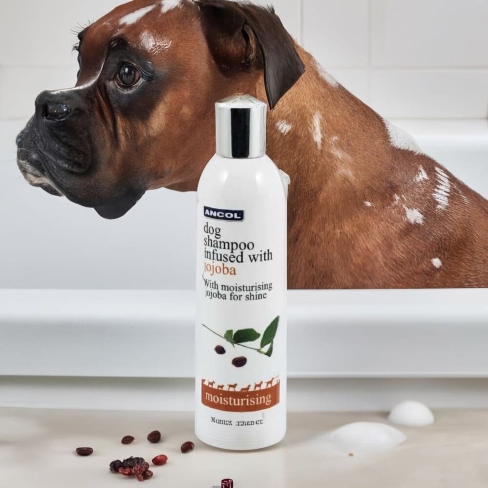 Jojoba Dog Shampoo – Euro Luxury, SLS & Paraben Free, Essential Oils
